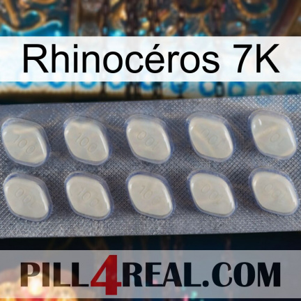 Rhinocéros 7K 08